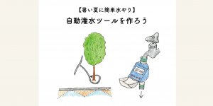 暑い夏に簡単水やり！自動潅水ツールを作ろう