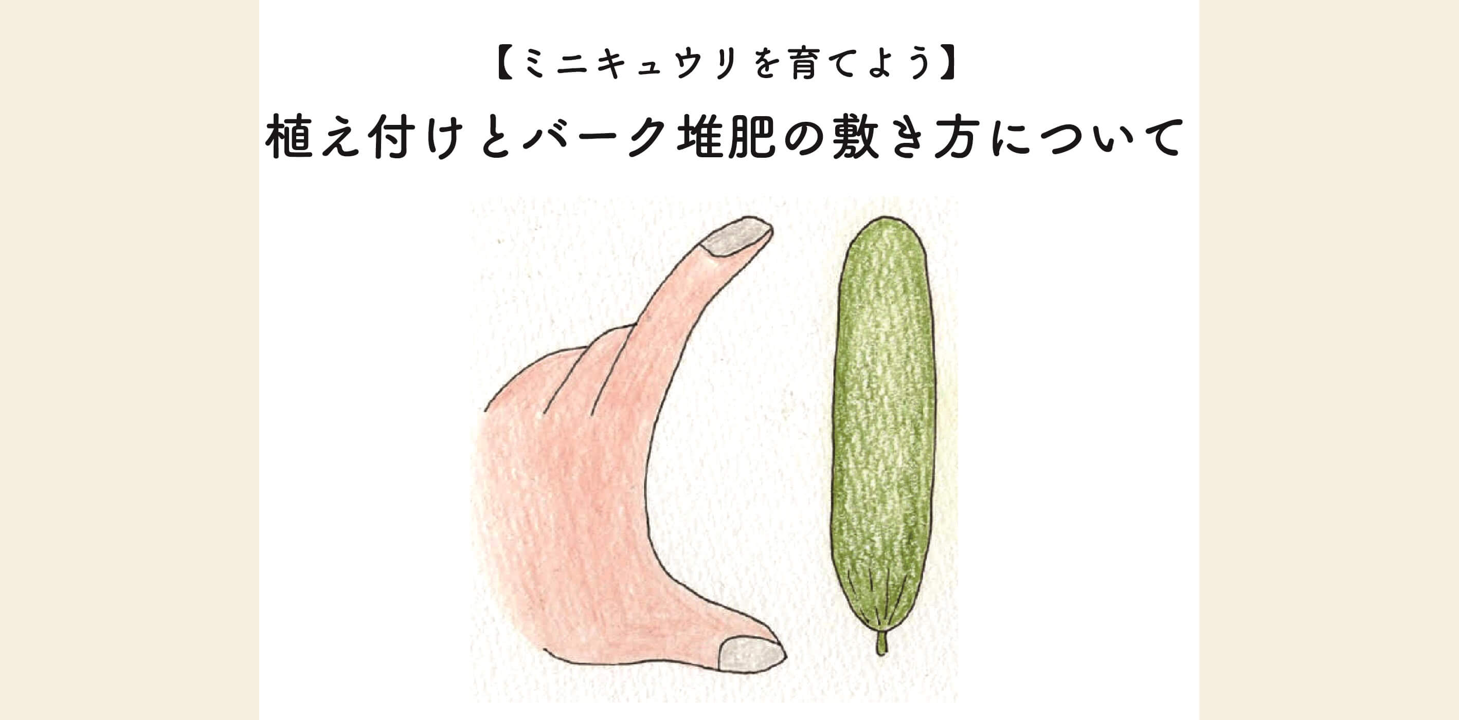 ミニキュウリを育てよう】植え付けとバーク堆肥の敷き方について | 切るを楽しむ | アルスコーポレーション株式会社