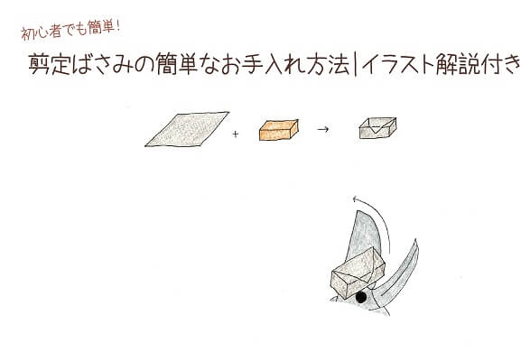 剪定ばさみの簡単で時間のかからないお手入れ方法 切るを楽しむ アルスコーポレーション株式会社