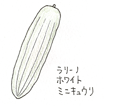 ミニパプリカ ミニキュウリ イタリアントマトの育て方 イラスト解説 5月に植えるプランター野菜 切るを楽しむ アルスコーポレーション株式会社