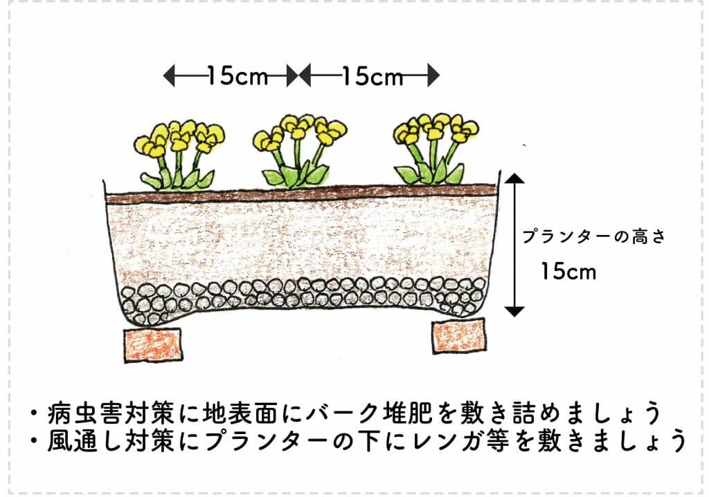 初心者向け ビオラをエディブルフラワーとして育てるコツ 切るを楽しむ アルスコーポレーション株式会社