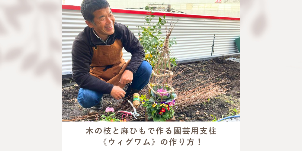 木の枝と麻ひもで作る園芸用支柱《ウィグワム》の作り方！